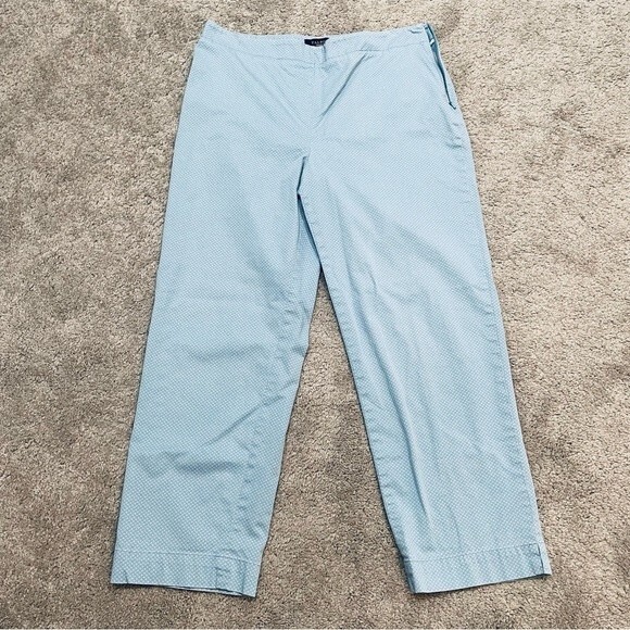 Talbots Classic Side Zip Light Blue and White Patterned Pants Size 10 - Picture 1 of 11